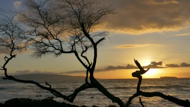 美しい海、地平線に夕日の風景 — ストック動画