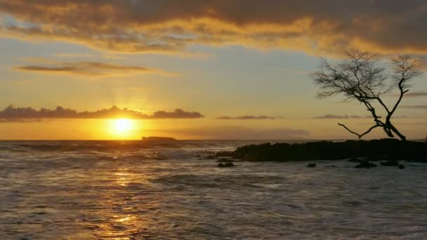 Hermoso paisaje marino, puesta del sol en el horizonte — Vídeo de stock