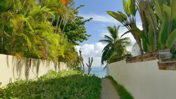 Playa con palmeras, Sendero — Vídeo de stock