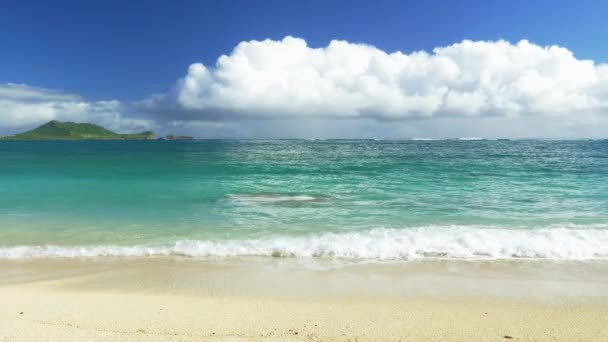 美しいビーチ、波が海岸をカバー — ストック動画