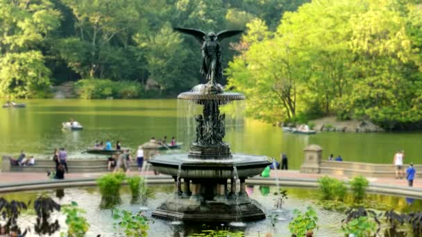 Turyści przechodzą fontanna w parku Centralnym — Wideo stockowe