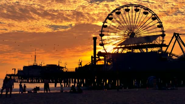 Silhouette de la roue ferris au coucher du soleil — Video