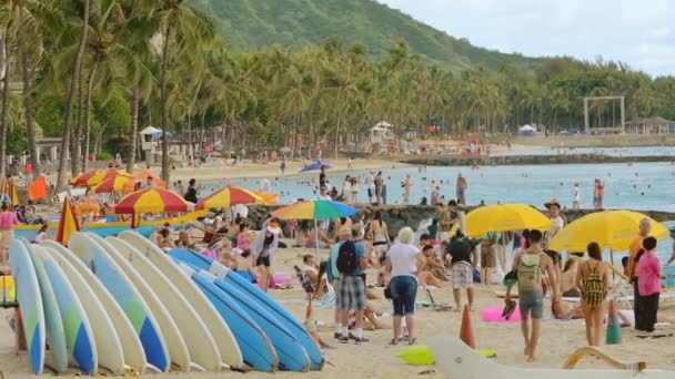 Touristen genießen den Strand von Waikiki — Stockvideo