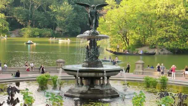 Turistas pasan fuente en Central Park — Vídeos de Stock