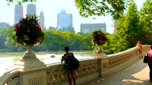 Čas zániku Central Park luk most jako turistické kolem a fotit. — Stock video