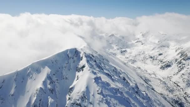Luchtfoto landschap van de bergketen — Stockvideo