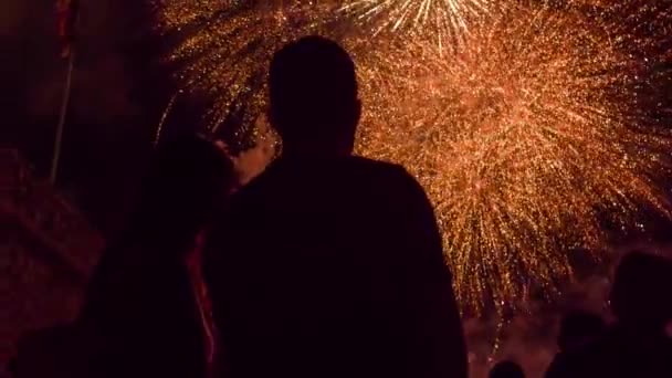 Jeune couple regardant de beaux feux d'artifice affichage 4ème de Juillet Nouvel An Célébration Vent Amour Romantique Date Relation Bonheur Concept — Video