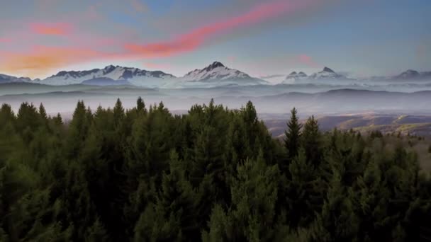 Berg Winter Kiefern Schöne Natur Landschaft Goldene Stunde Sonnenaufgang Berggipfel Winterurlaub Lebendige Farben Antenne 4k — Stockvideo