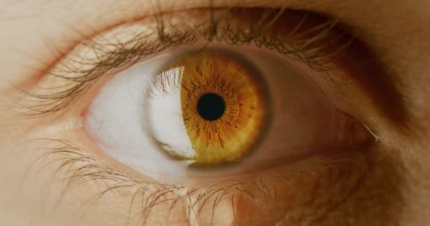 매크로 Of Colourful Iris Of Eye Tracking Shot 인간 의식적 눈물 우울증 8k — 비디오