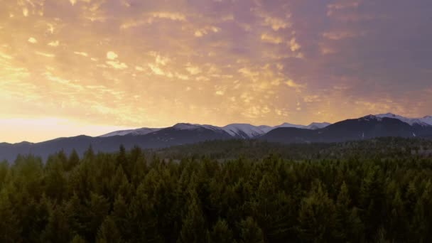 Aerial Shot Of National Park Winter Forrest Golden Hour Colores Hermosos Colores Sky Christmass Holiday Cinematic Flight 4k — Vídeos de Stock