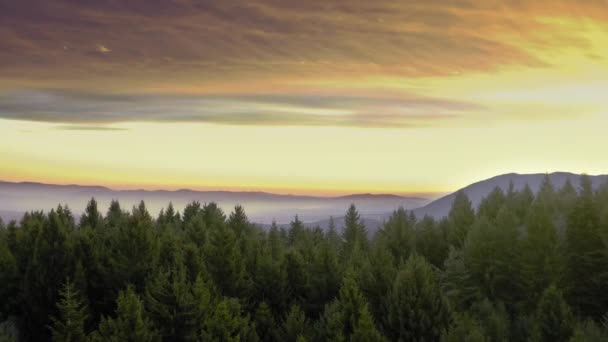 Aerial Shot Of Mountain Winter Pines Złote Godziny Kolory Kolorowe Purpurowe Pomarańczowe niebo Zimny Raj Film Lot 4k — Wideo stockowe