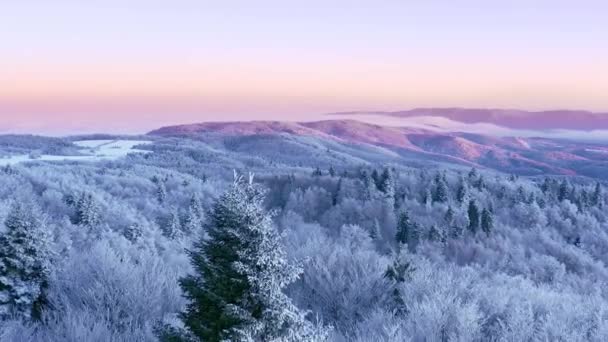 高山霜冻冬树美丽的大自然黄金时间假日旅行和旅游雪松振奋人心的色彩空中4k — 图库视频影像