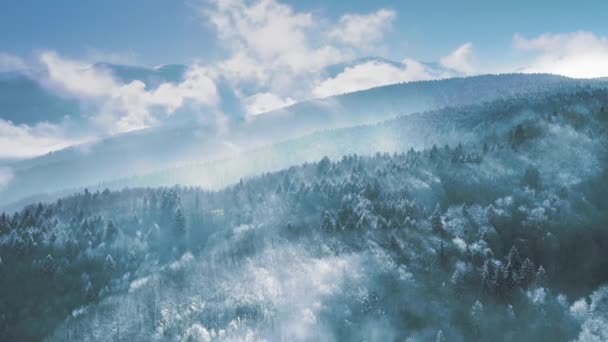 Zdjęcie lotnicze Parku Narodowego Zimowe chmury Pine Forrest Złote Godziny Kolory Kolorowe Fioletowe Pomarańczowe Sky Sky Resort wakacje Lot kinowy 4k — Wideo stockowe