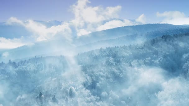 Drone Aerial Over Misty Forrest Winter Mountain Pines Złote Godziny Kolory Piękne Kolory Niebo Zimne Pogoda Film Lot 4k — Wideo stockowe