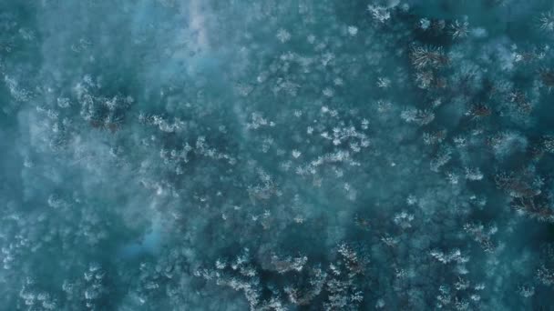 Colpo aereo di nebbia Forrest inverno pini di montagna Golden Hour Colori Bellissimi Colori Sky Resort Vacanza Volo cinematografico 4k — Video Stock