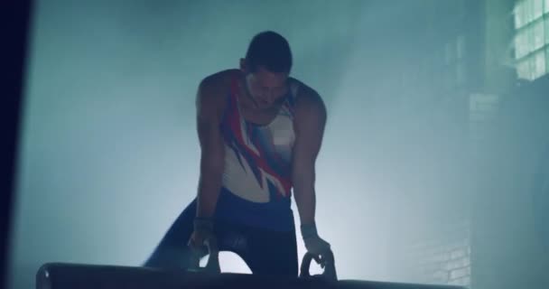 젊은 성인 남자 육상 체조 체조 선수 운동 폼멜 호스 스포츠 센터 활성 생활 동기 부여 체조 경쟁 Mindset 컨셉트 4k — 비디오