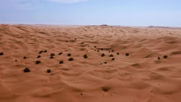 Luchtfoto van prachtige woestijn zandduinen op Golden Hour Draught Remote Desolate Destination Low Light Uhd Hdr 4k — Stockvideo