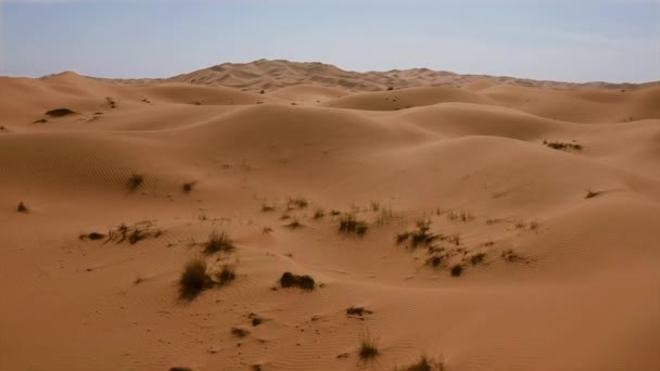 Aerial Shot Of Sahara Desert At Golden Hour Wild Nature Safari Adventure Low Light Uhd Hdr 4k — Stock Video