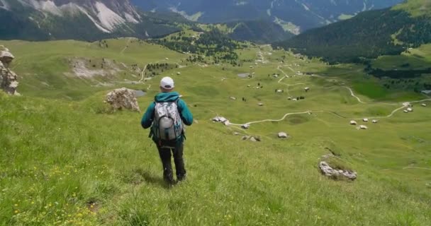 Nuori mies kävely alas Alppien kenttä Alpeilla Kaunis Mountain Loma Achevement Antenni Drone Flight — kuvapankkivideo