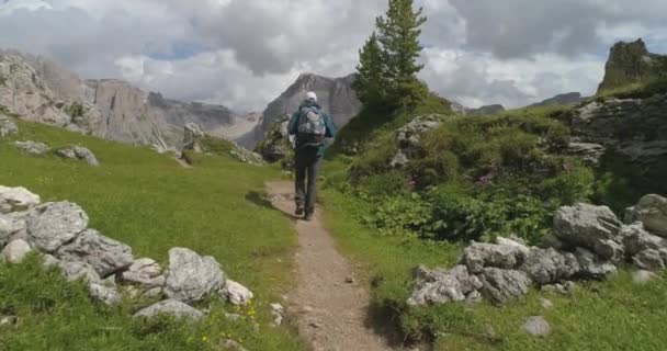 Młody człowiek spacerujący po alpejskiej scenerii w górach Peaceful Mountain Achevement — Wideo stockowe