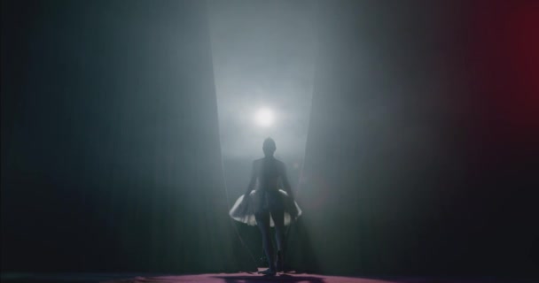 Vorhang auf, als die Ballerina die Bühne für das Performance Spectaculum Female Power Fragility Smoke Silhouette Slow Motion Red Epic betritt — Stockvideo