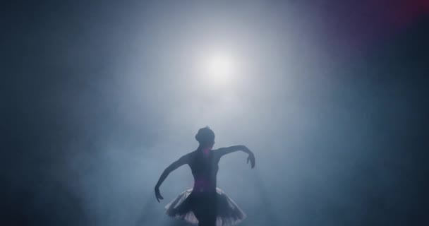 Silhouette Balett Dancer Utförande Svansjön på mörka scenen Bestämning Skönhet Begreppet Slow Motion Röd Epic — Stockvideo