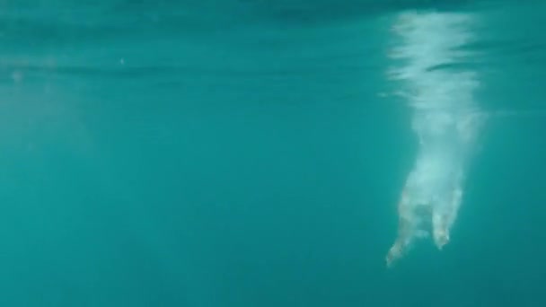 Frumos tânăr sărind în apă Stil de viață sănătos Căutător de pericol Extereme Sport Slow Motion Underwater Shot Red Epic 8k — Videoclip de stoc