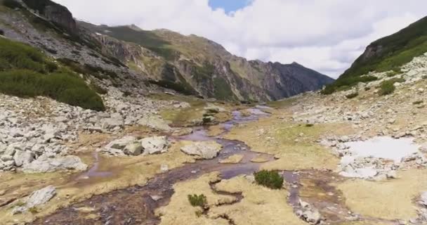 Voo de zangão aéreo sobre Alpine Valley Corrente de montanha Fluxo Aventura Viagem ao ar livre Estilo de vida Tranquil Inspiração Conceito — Vídeo de Stock