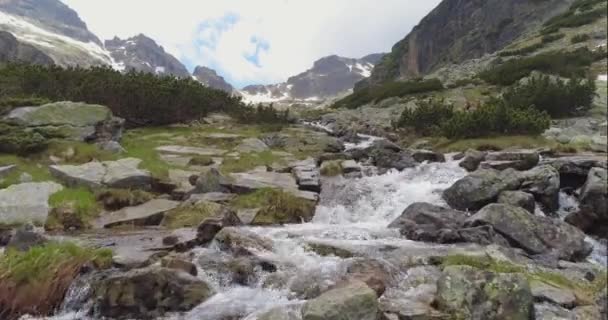 LuchtDrone vlucht over Alpenvallei Mooie Alpenstroom Landschap Avontuur Reizen Milieubescherming Mooie Natuur Concept — Stockvideo