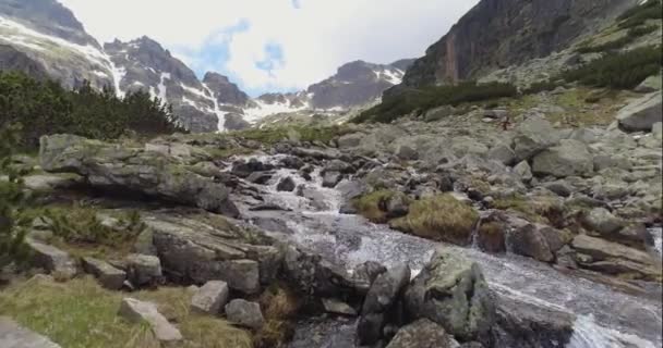 Fly gennem over Alpine Valley Mountain Stream strømmende bjergbestigning udendørs Livsstil Mountain Vacation Concept – Stock-video