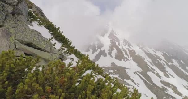 Vuelo aéreo sobre hermosa cadena montañosa con picos de nieve épica cordillera alpina escalada aventura gloria naturaleza tranquilo inspiración concepto — Vídeo de stock