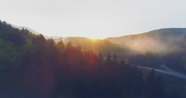 LuchtDrone vlucht over de Mist Forrest Zonsondergang Kleurrijke herfstbomen Berg Zonsondergang Oranje Kleuren Epische Glorie Inspiratie Reisconcept — Stockvideo