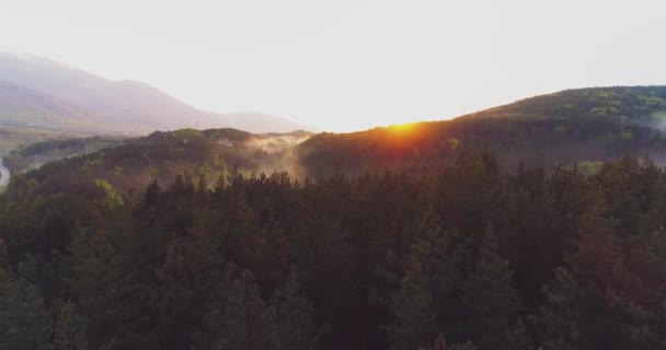 Drohnenflug durch Nebelwolken über Sonnenuntergang Forrest Schöne Herbstsaison Forrest Mountain Sonnenuntergang Orange Farben Epic Glory Inspiration Reisekonzept — Stockvideo