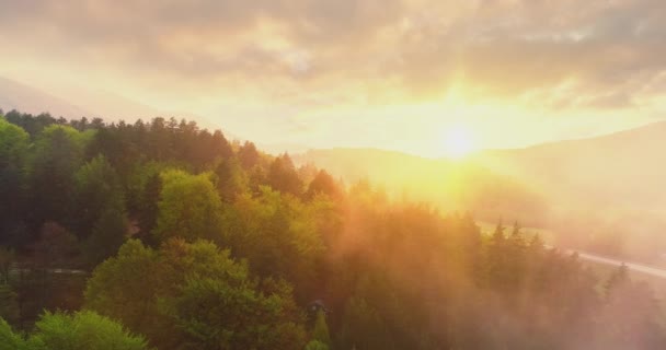 Epický vzdušný let nad mlhou Forrest západ slunce nádherná sezona pádu Forrest hora západ slunce oranžová barvy spiritualita inspirace dovolená koncept — Stock video