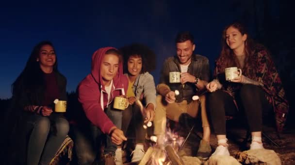 Multiracial Group Of Young Friends Sitting And Smiling Around Forest Camp Fire In The Evening Laughing And Holding Marshmallows Close Friendship Tourism Happy Picnic Party In Nature Concept Slow — Stock Video
