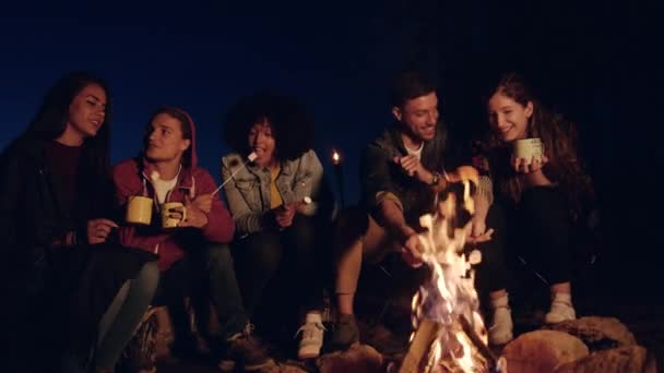 Atrakcyjna wielorasowa grupa młodych przyjaciół siedzących i uśmiechniętych wokół leśnego obozu Pożar Wieczorem Śmiejąc się i trzymając pianki Bliska Przyjaźń Turystyka Happy Piknik Party In Nature Concept — Wideo stockowe