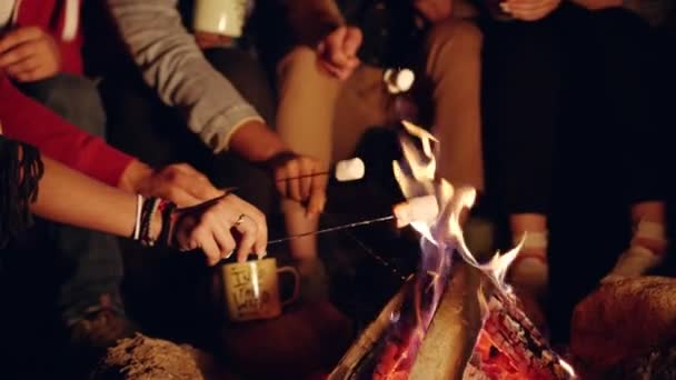 Vonzó Multiracial Group of Young Friends Around Burning Camping tábortűz az erdőben eszik pillecukor Nevetés és viccelődés Természet Turizmus Tini élet Kaland Koncepció Lassú mozgás lövés a piros — Stock videók