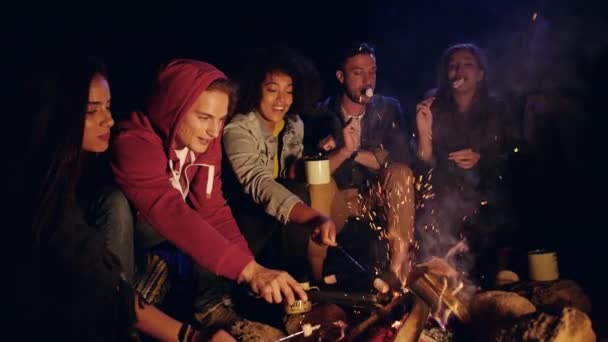 Group Of Happy Friends Around Burning Camping Bonfire In The Woods Roasting Marshmallows And Smiling Hiking Lifestyle Leisure Concept Slow Motion Shot On Red Epic W 8k — Stock Video