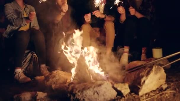 Diverse Group Of Attractive Young People Around Burning Camping Bonfire In The Woods Holding Sparkler Fire Celebrating And Laughing Vacation In Nature Romantic Getaway Concept Slow Motion Shot On Red — Stock Video