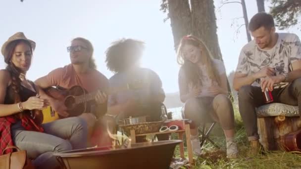 Attractive multiracial group of young friends play guitar and s around forest camp fire have drinks and clap close friendship tourism travel party concept slow motion shot on red epic w 8k. — Stock Video