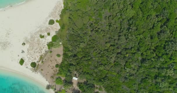 熱帯パラダイスビーチの上空からの眺め有名なMarathonisi Turtle島航空写真夏の旅行コンセプト生態保存コンセプト — ストック動画