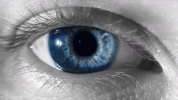 Makro niebieskiego oka, gdy źrenica kontraktuje siatkówkę rozszerza się w miarę jak powieka miga, budząc świadomość koncepcja duchowego przebudzenia — Wideo stockowe