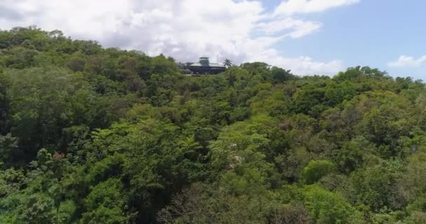 空中射箭飞越奇异的加勒比海岸牙买加自然风景区暑假目的地避暑胜地概念慢动作4k — 图库视频影像