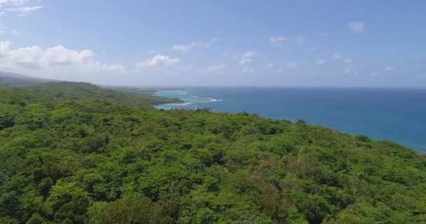 空中飞越异国情调的海岸线牙买加风景季节景暑假旅游和旅游理念慢动作4k — 图库视频影像