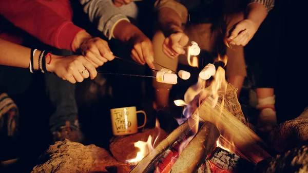 Vielfältige Gruppe Junger Männer Und Frauen Sitzen Nachts Lagerfeuer Wald lizenzfreie Stockfotos