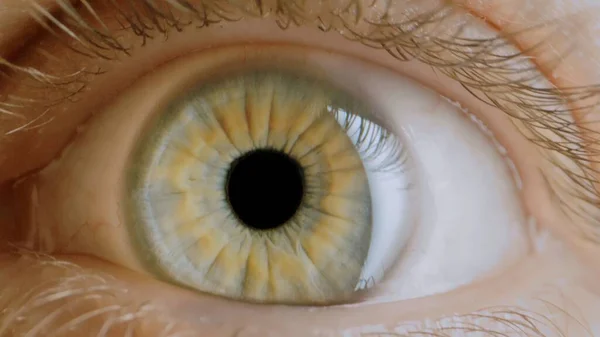 Colorful Human Eye Iris Pupil Time Travel Black Hole Extreme Close Up Tracking Shot Male Green Yellow Eye Colorful Human Beauty Fashion