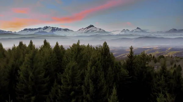 Εναέρια Shot Mountain Winter Pines Golden Hour Χρώματα Πολύχρωμο Μωβ Εικόνα Αρχείου