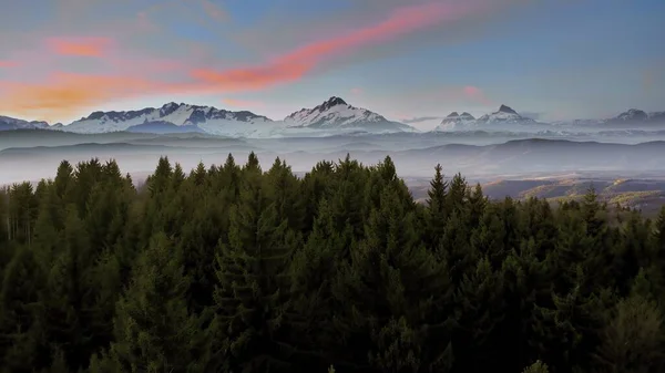 Εναέρια Shot Mountain Winter Pines Νωρίς Πρωί Ομίχλη Όμορφα Χρώματα Royalty Free Εικόνες Αρχείου