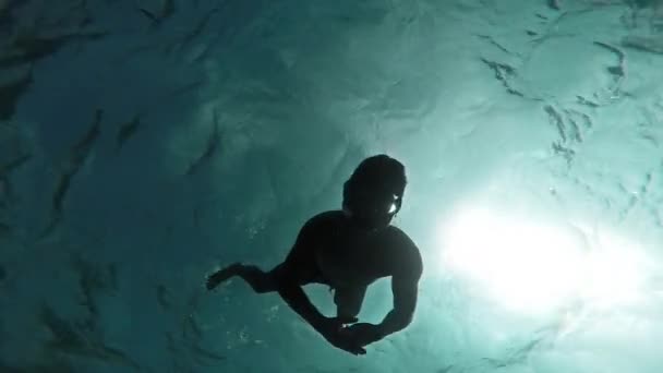 Vodní potápěč šnorchlováním silueta chycení pokladu najít mořský život zvířata korály pod vodou aktivní zdravý hobby lovec exotický ostrov dovolená krása GoPro HD — Stock video