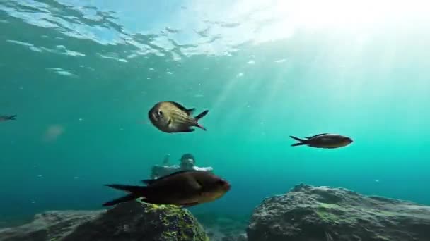 Junger Sporttaucher Unterwasseraufnahmen Wildtiere Fische Sonnenlicht Schönheit Korallenriff Urlaub Entspannung Erkundung Abenteuer Hobby Schnorchel Natur Gopro HD